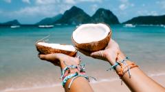 Кокос — польза и вред для организма, состав и лечебные свойства