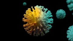 ВОЗ сравнила опасность вариантов коронавируса «Йота» и «Дельта»