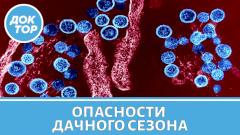 Врач-инфекционист назвал первые признаки болезни, поражающей почки