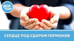 Врач-кардиолог рассказала, что делать, чтобы защитить сердце от стресса