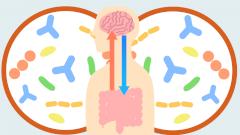 Микробиом: «второй мозг» человека