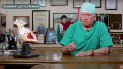 Анатомия сердца