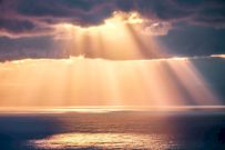 Сколько нужно солнечного света?