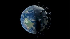 Американские и британские ученые раскритиковали отчет ВОЗ о происхождении вируса SARS-CoV-2