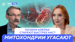 Митохондрии угасают: вот почему нет сил после 50?