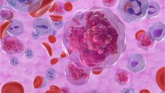 Открыт новый подход к к лечению кожных инфекций и ран