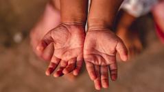 Откуда в Россию пришел вирус Коксаки, и как его не подхватить