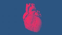 24/7: самый работоспособный орган человека