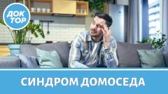 Синдром домоседа: когда уютный дом становится ловушкой