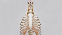 8 фактов об анорексии