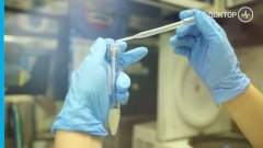 Настоящий мужской анализ: что покажет спермограмма?