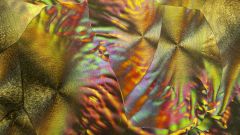 Фотопроект: красота под микроскопом