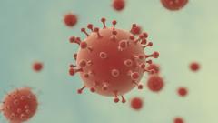 ковид, антитела