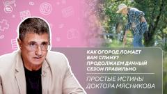 Грыжа пройдёт без операции? / Статины и риск рака