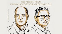 Названы лауреаты Нобелевской премии — 2021 по медицине