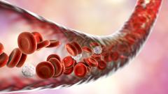 кровь, система