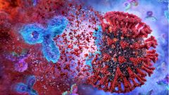 Ученые из Новосибирска нашли мощные антитела для лечения COVID-19