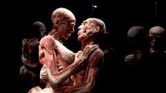 «Кладбище трупов» или анатомический театр? Мнения о выставке Body Worlds