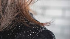Трихолог рассказала, о каких проблемах в организме может «сигнализировать» перхоть
