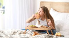 Обнаружена нейронная цепь, которая сигнализирует, когда нужно прекратить есть