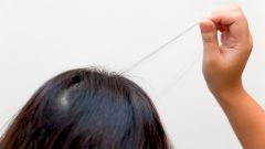 Находки Доктора