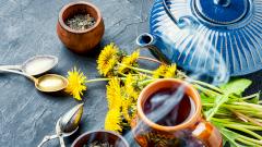 Экстракт одуванчика оказался эффективным средством против «Омикрона»