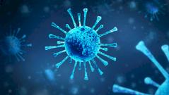 Названы три необычных симптома нового штамма коронавируса «Эрис»