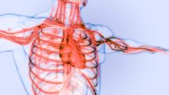 Кардиолог объяснил, чем отличаются разные виды боли в сердце