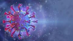 В России обнаружили 17 случаев заражения новым вариантом коронавируса EG.5