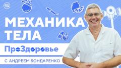 Механика тела. ПроЗдоровье