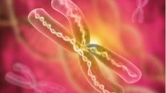 Ученые разобрались, почему мужчины живут меньше женщин