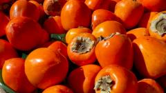 В Новосибирске спасли мужчину, объевшегося хурмы