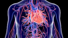 Созданы часы, позволяющие «заглянуть» в свое тело прямо на ходу