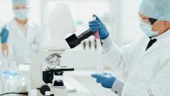 препарат от малярии для лечения рака