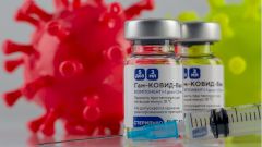 Вирусолог объяснил, почему Бразилия не одобрила «Cпутник V»