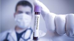 Врачи изучают свойства плазмы крови выздоровевших от нового коронавируса