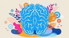 Неврологи назвали пять главных правил поддержания здоровья мозга