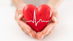 Пробиотики помогут в восстановлении сердца после инфаркта