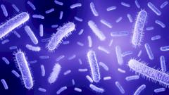 Названы три группы людей, переносящих кишечные инфекции тяжелее остальных