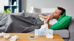 Иммунолог объяснил, почему свиной грипп так быстро распространяется по России