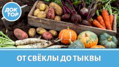 Осенние овощи для печени: репа, тыква и не только