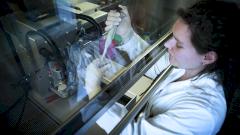 имплантация челюсти, 3-d принтер