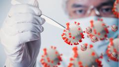 Клеточная «мембрана на чипе» ускорит тестирование лекарств от COVID-19