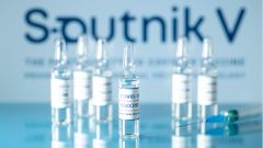 Гинцбург заявил о существовании московского штамма коронавируса