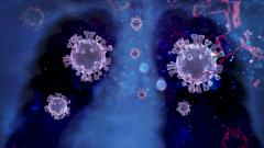 Ученые объяснили, почему у коронавируса так быстро появляются новые штаммы