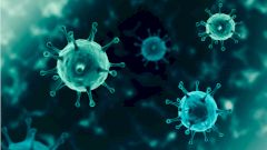 Исследование показало, почему коронавирус повреждает лишь определённые органы