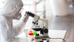 Новосибирские учёные предложили новый способ массовой диагностики коронавируса