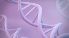 В женском мозге обнаружен встроенный защитный механизм