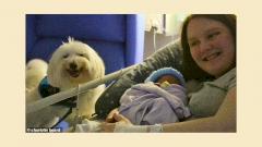 В Британии собака помогала при родах своей хозяйки