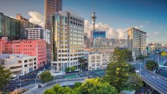 В Новой Зеландии ввели общенациональный локдаун из-за одного заболевшего COVID-19